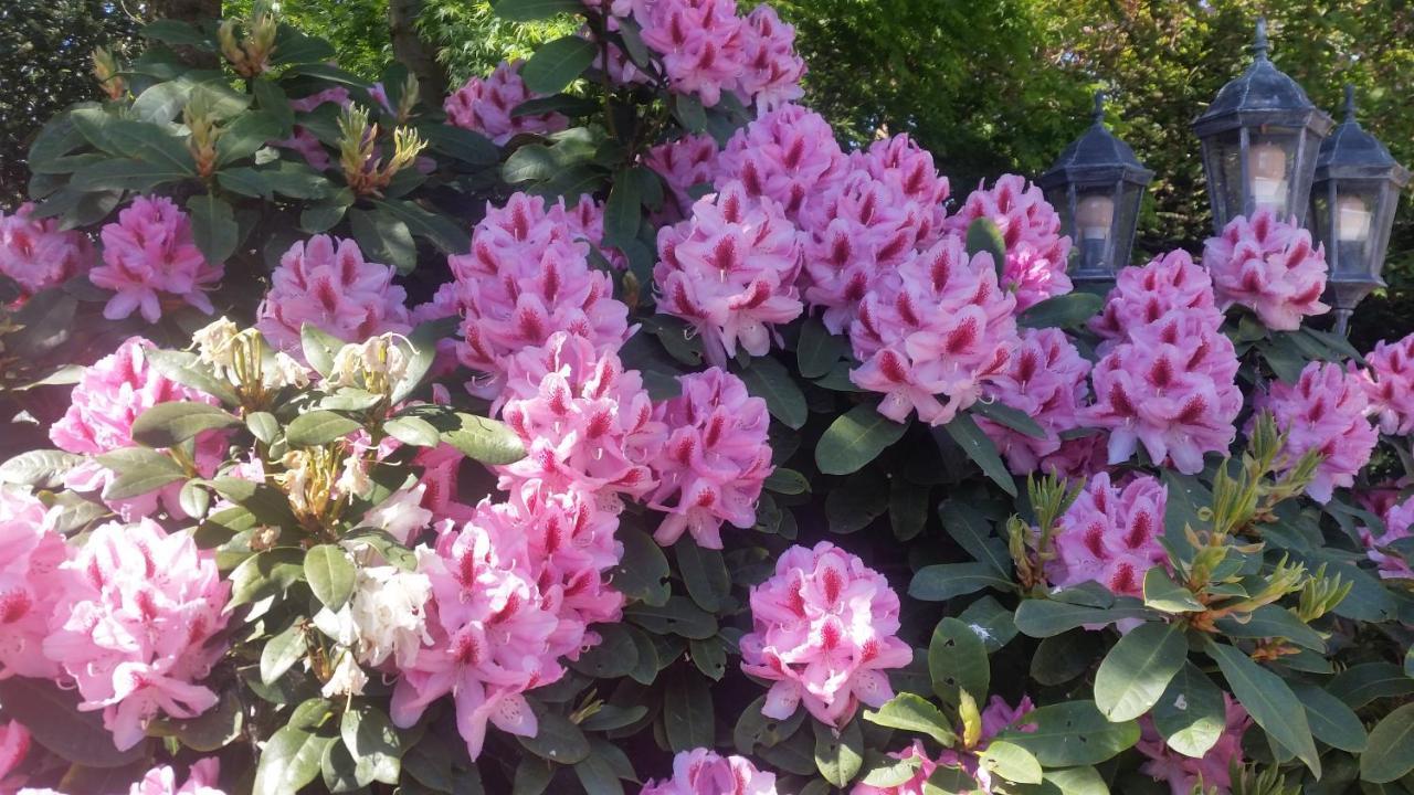 Ferienwohnung Gartenblick Westerstede Ngoại thất bức ảnh
