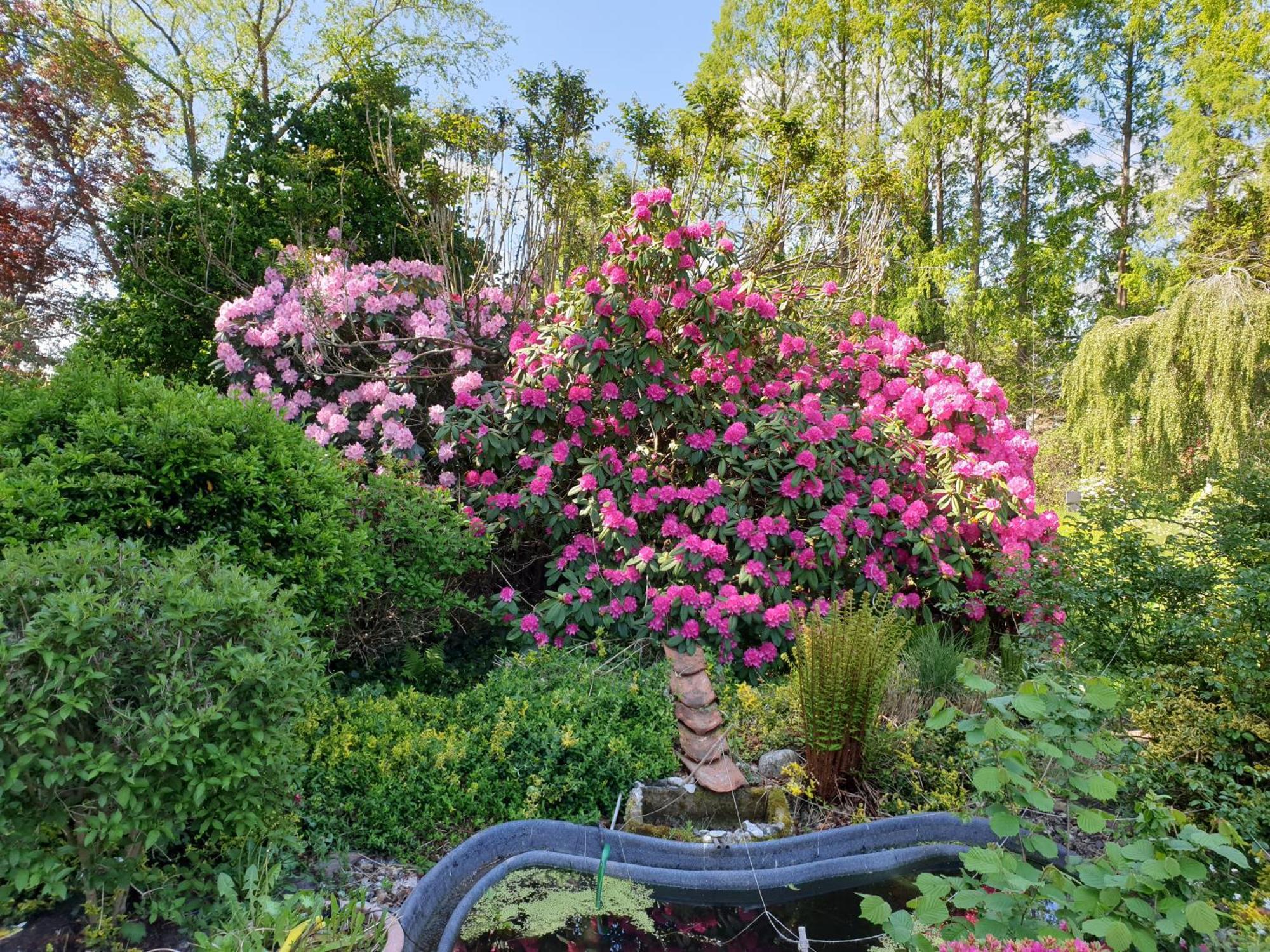 Ferienwohnung Gartenblick Westerstede Ngoại thất bức ảnh