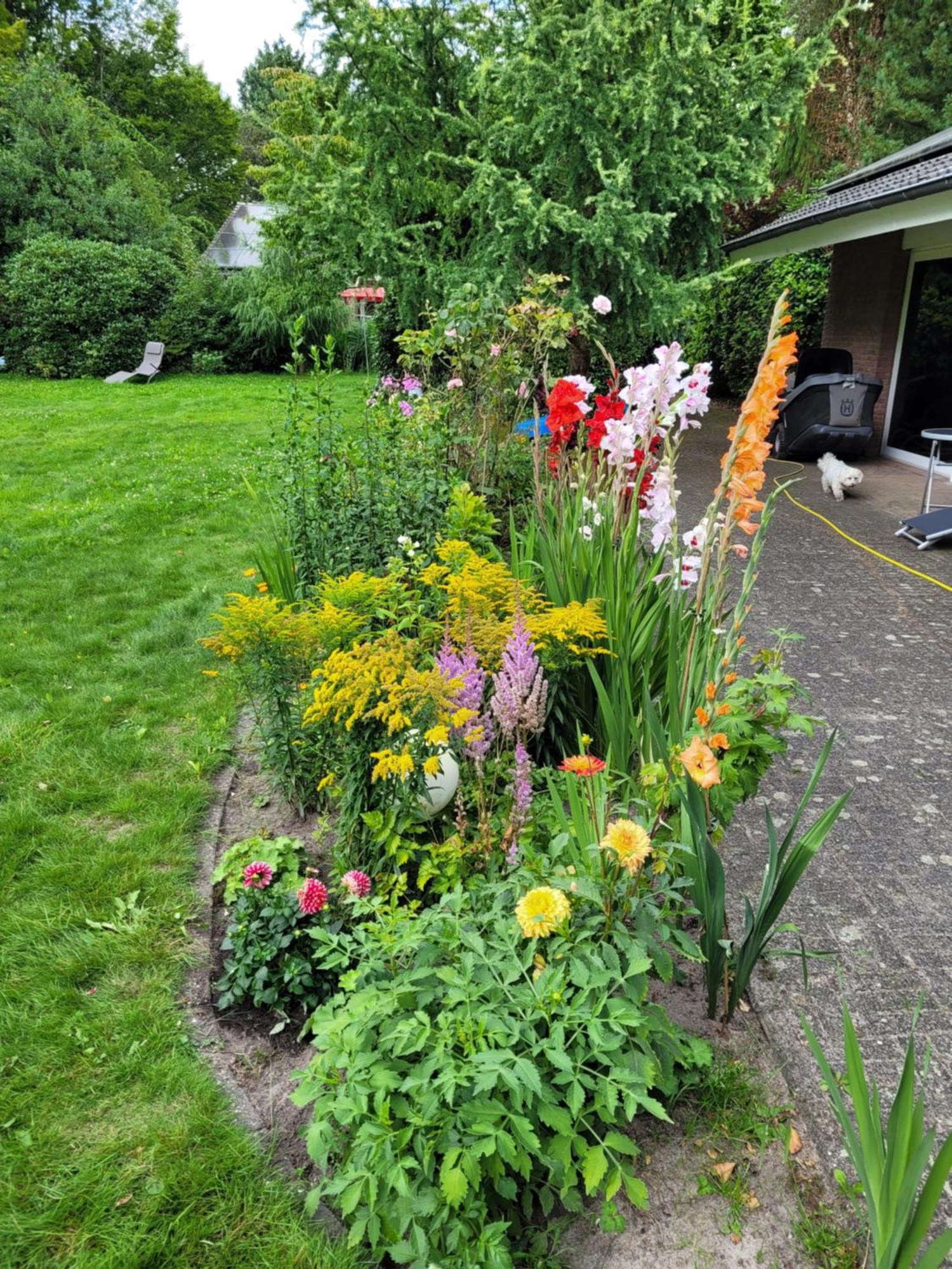 Ferienwohnung Gartenblick Westerstede Ngoại thất bức ảnh
